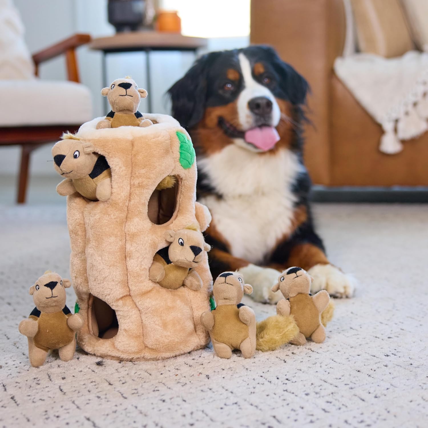 Hide And Seek Dog Toy