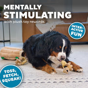 Hide And Seek Dog Toy