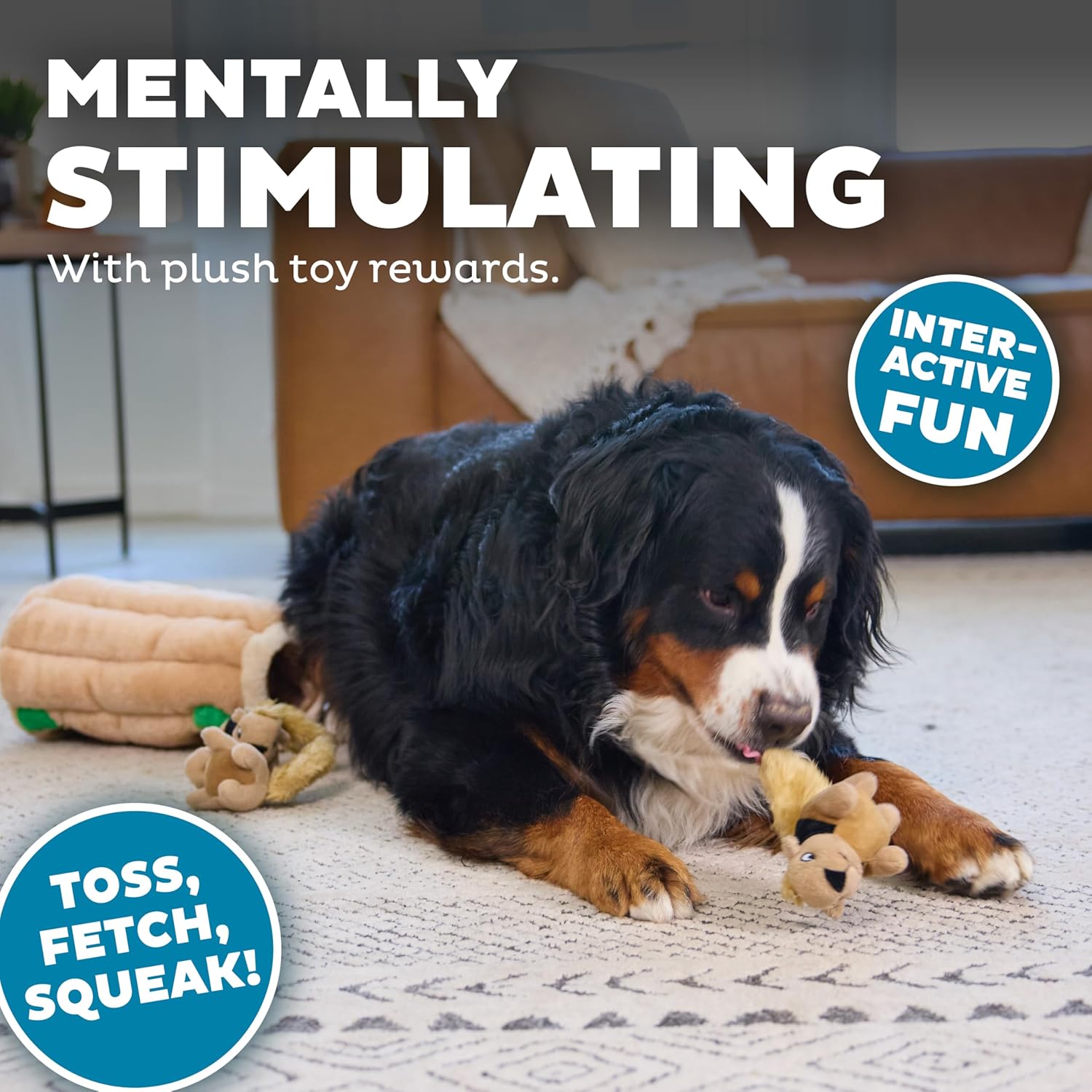 Hide And Seek Dog Toy