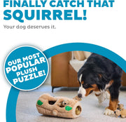 Hide And Seek Dog Toy