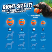 High Bounce Fetch Ball Set