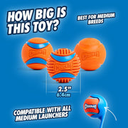 High Bounce Fetch Ball Set