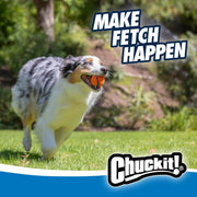 High Bounce Fetch Ball Set