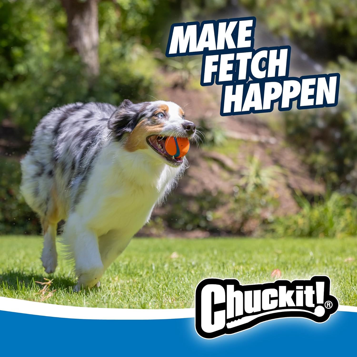 High Bounce Fetch Ball Set