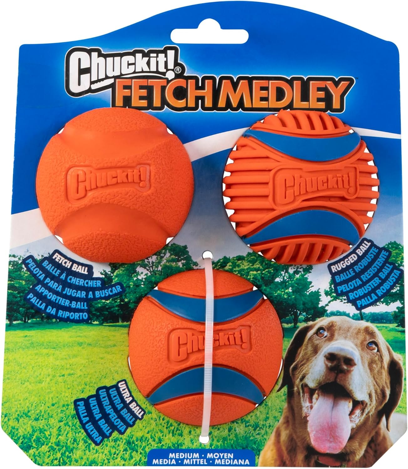 High Bounce Fetch Ball Set