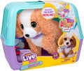 Walking And Talking Puppy Toy