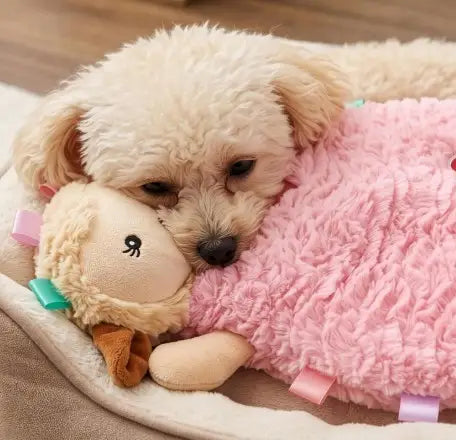 Calming Lamb Plush Dog Toy