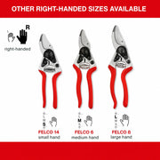 Professional Garden Pruning Shears