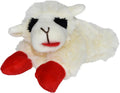 Squeaky Plush Dog Chew Toy