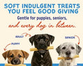 Peanut Butter Yogurt Chew Sticks for Dogs – Digestive Support Treats (5 Pack)