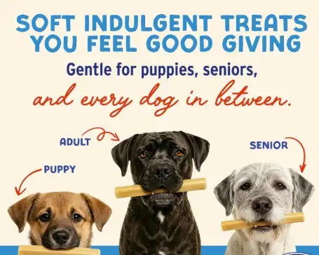Peanut Butter Yogurt Chew Sticks for Dogs – Digestive Support Treats (5 Pack)