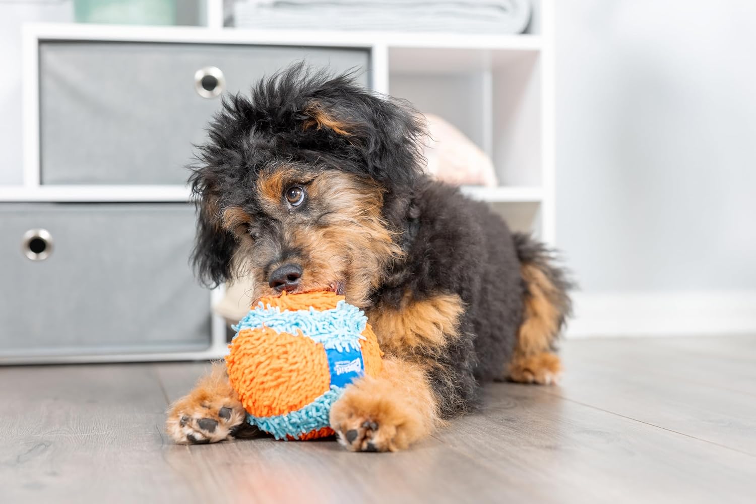 Indoor Fetch Ball Dog Toy