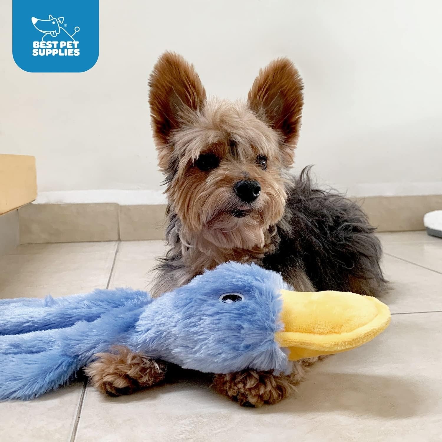 Interactive Blue Duck Dog Toy