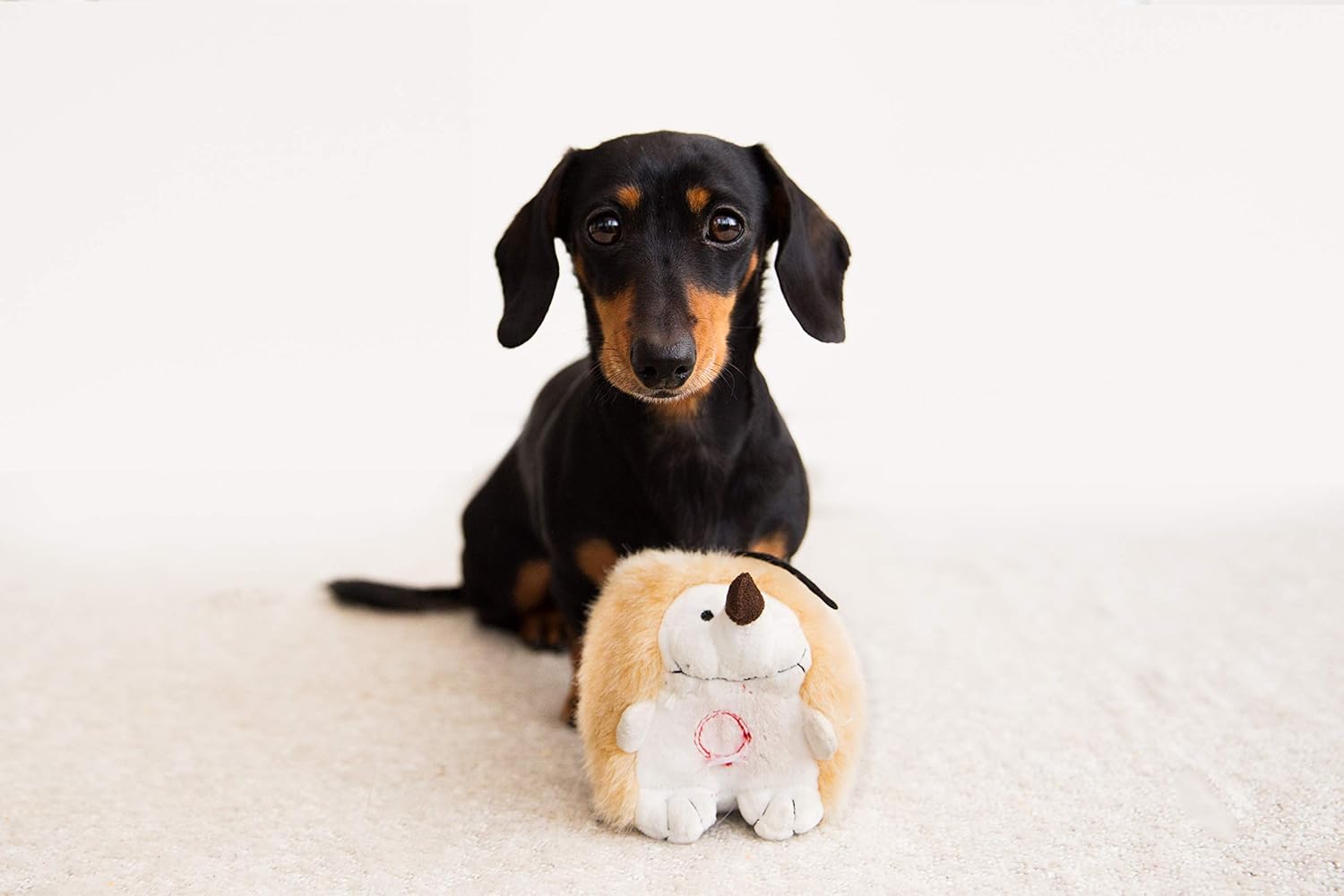 Interactive Chattering Hedgehog Plush Dog Toy