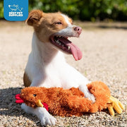 Interactive Crinkle Squeaky Dog Toy