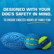 Interactive Dog Toy Gift Set