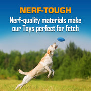 Interactive Dog Toy Gift Set