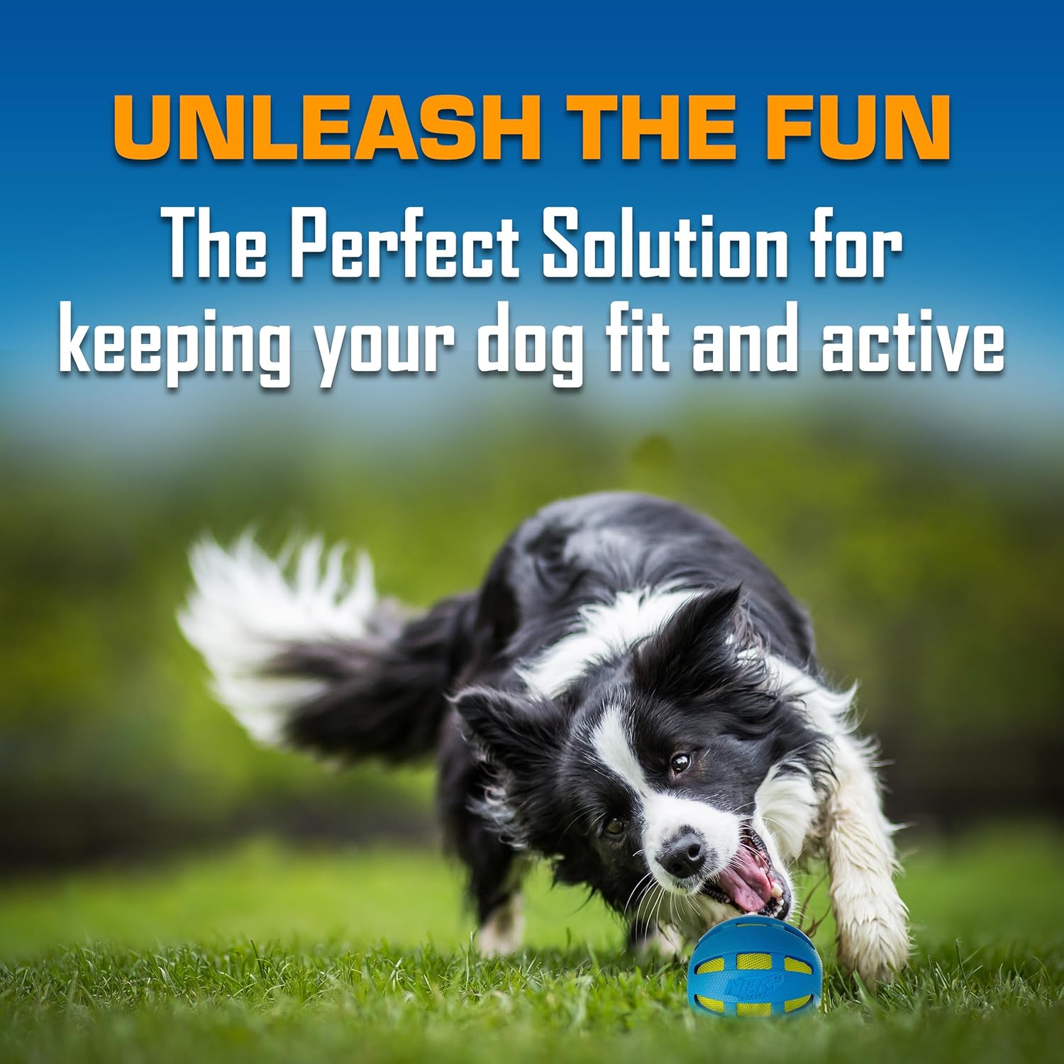 Interactive Dog Toy Gift Set