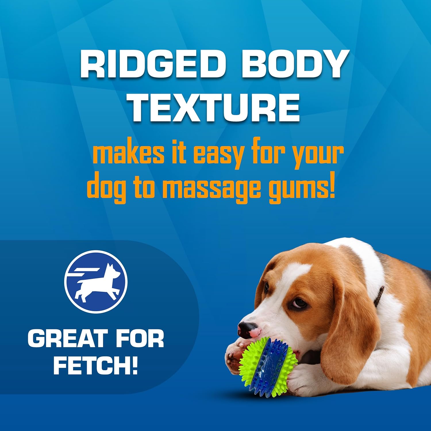 Interactive Dog Toy Gift Set