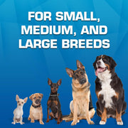 Interactive Dog Toy Gift Set