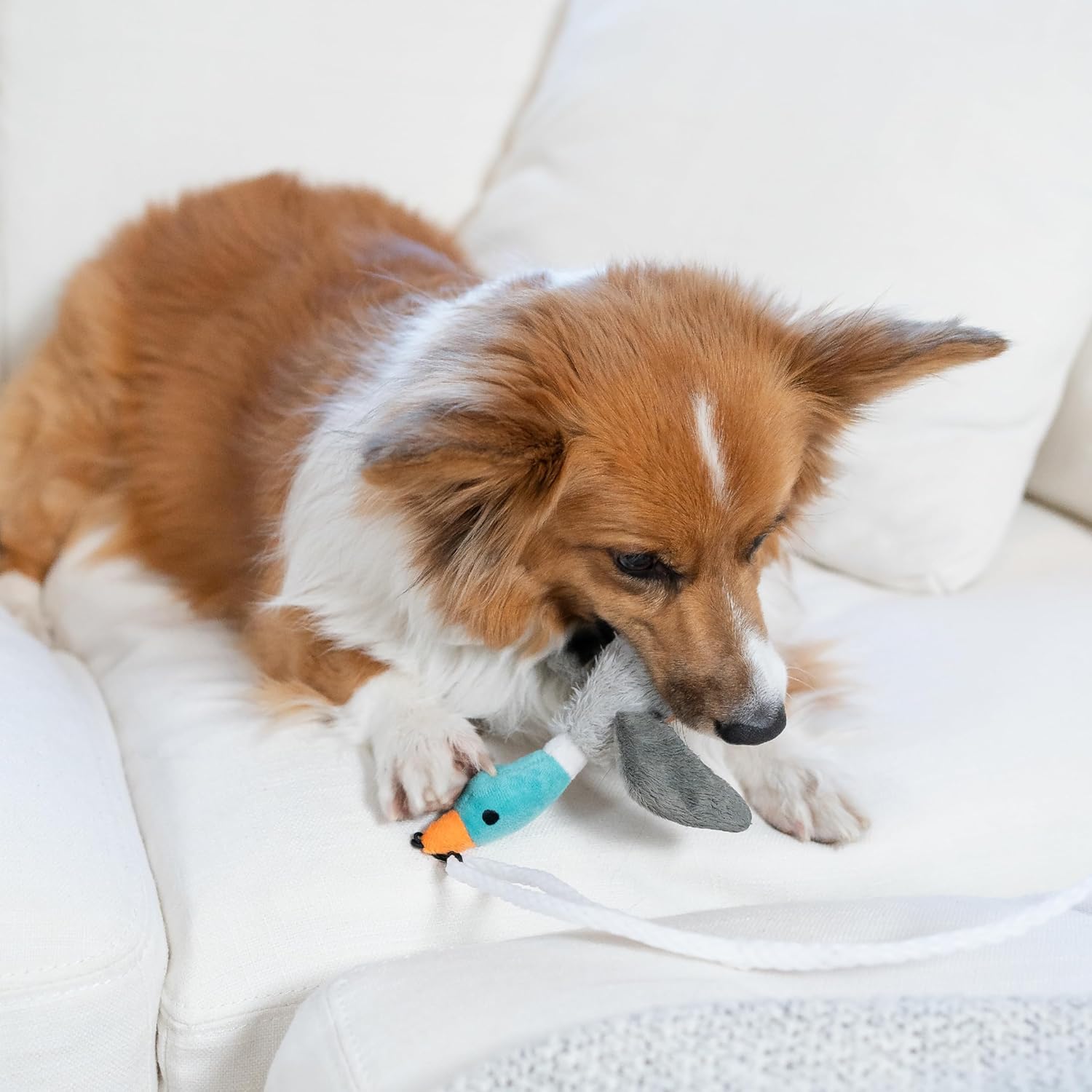 Interactive Dog Wand Teaser Toy with Squeaky Plush