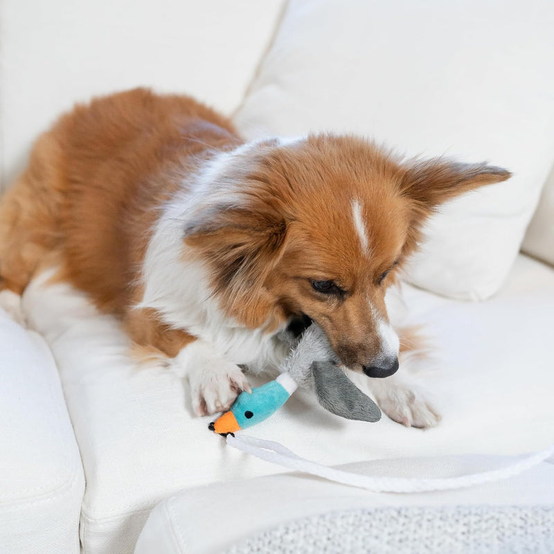 Interactive Dog Wand Teaser Toy with Squeaky Plush