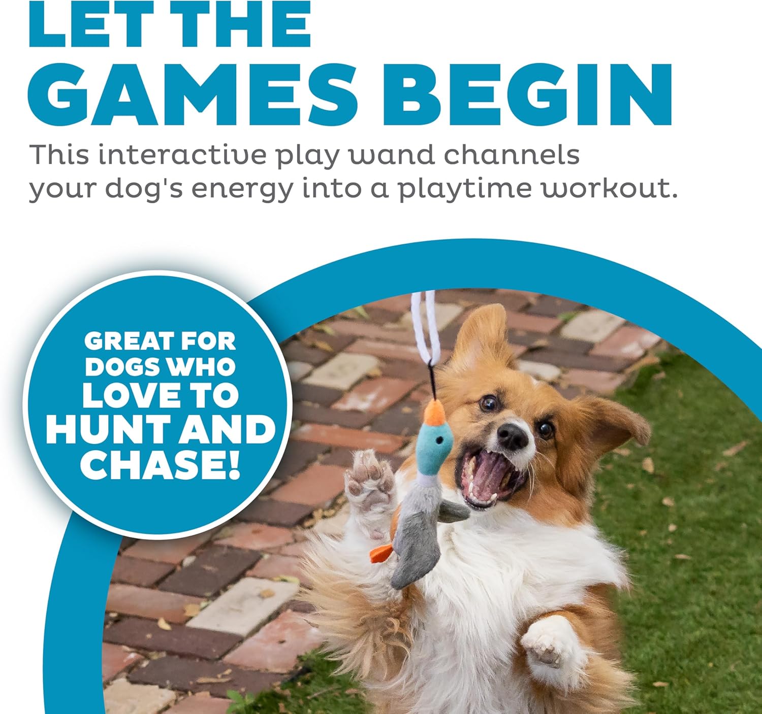 Interactive Dog Wand Teaser Toy with Squeaky Plush