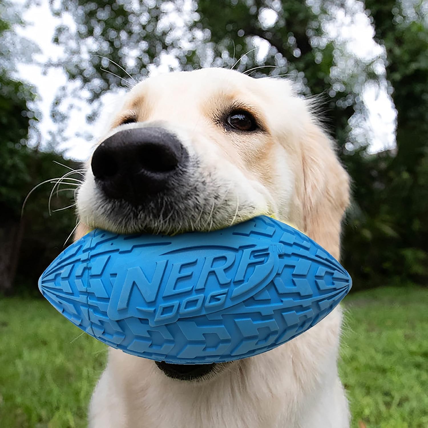 Interactive Football Fetch Dog Toy