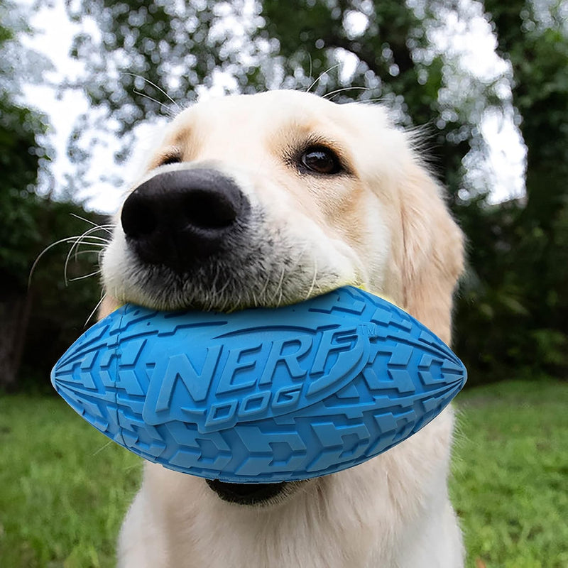 Interactive Football Fetch Dog Toy