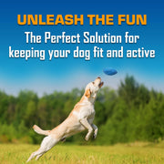 Interactive Football Fetch Dog Toy
