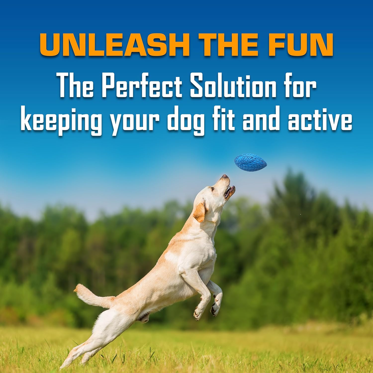 Interactive Football Fetch Dog Toy