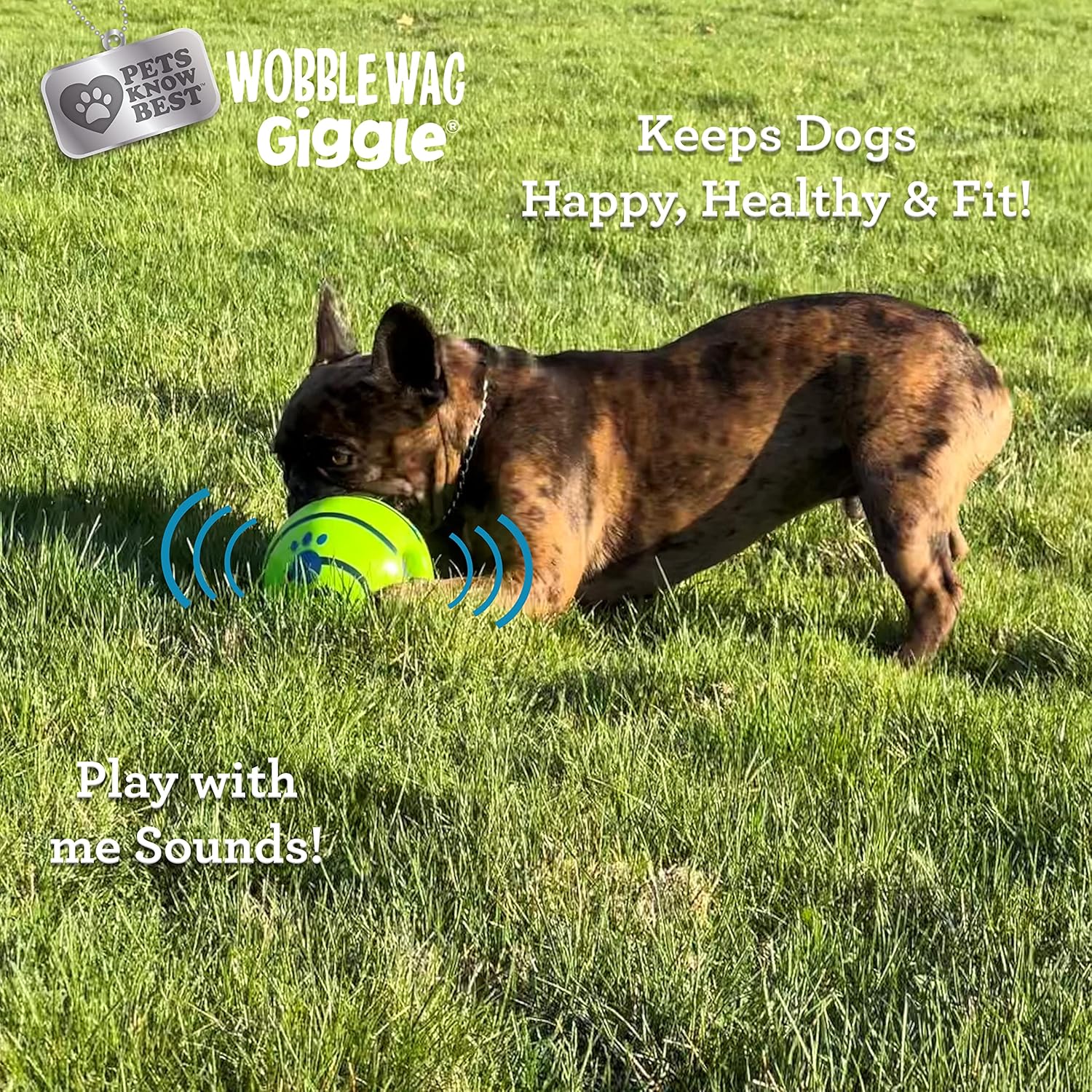 Interactive Giggle Ball Dog Toy