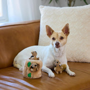 Interactive Hide & Seek Plush Dog Puzzle Toy – Small