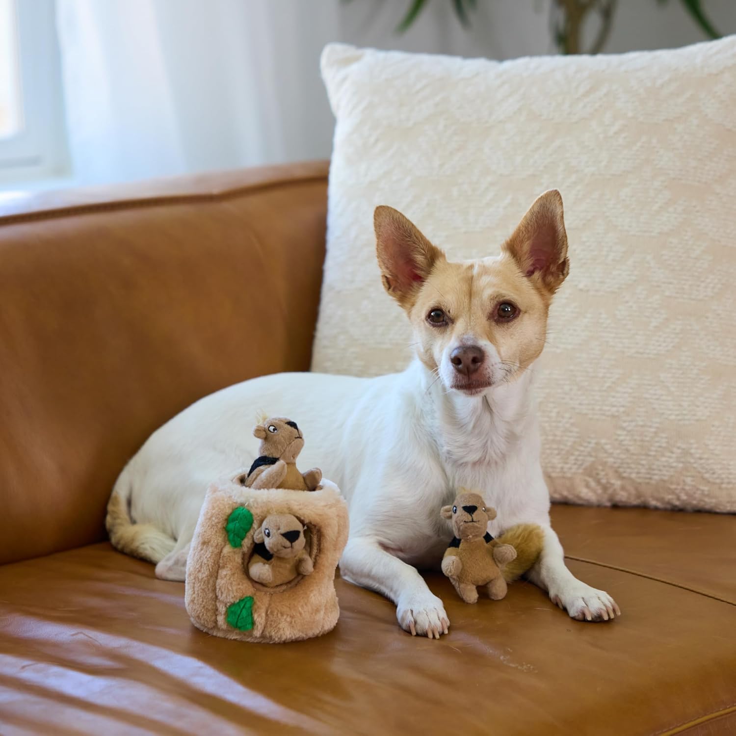 Interactive Hide & Seek Plush Dog Puzzle Toy – Small
