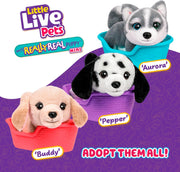 Interactive Plush Puppy Toy Set