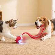 Interactive Rolling Ball Pet Toy