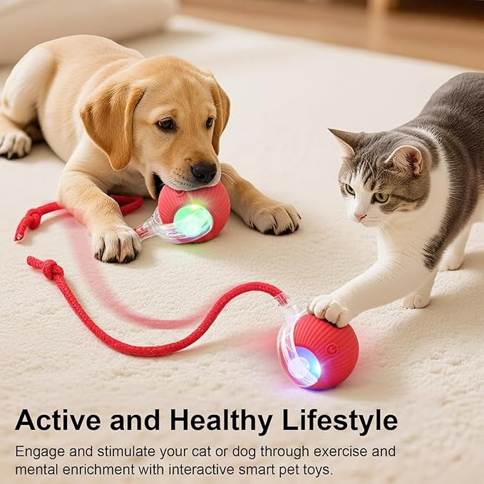 Interactive Rolling Ball Pet Toy