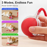 Interactive Rolling Ball Pet Toy