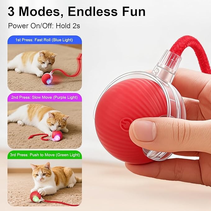 Interactive Rolling Ball Pet Toy