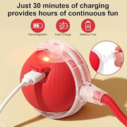 Interactive Rolling Ball Pet Toy