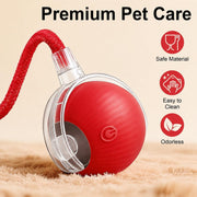 Interactive Rolling Ball Pet Toy