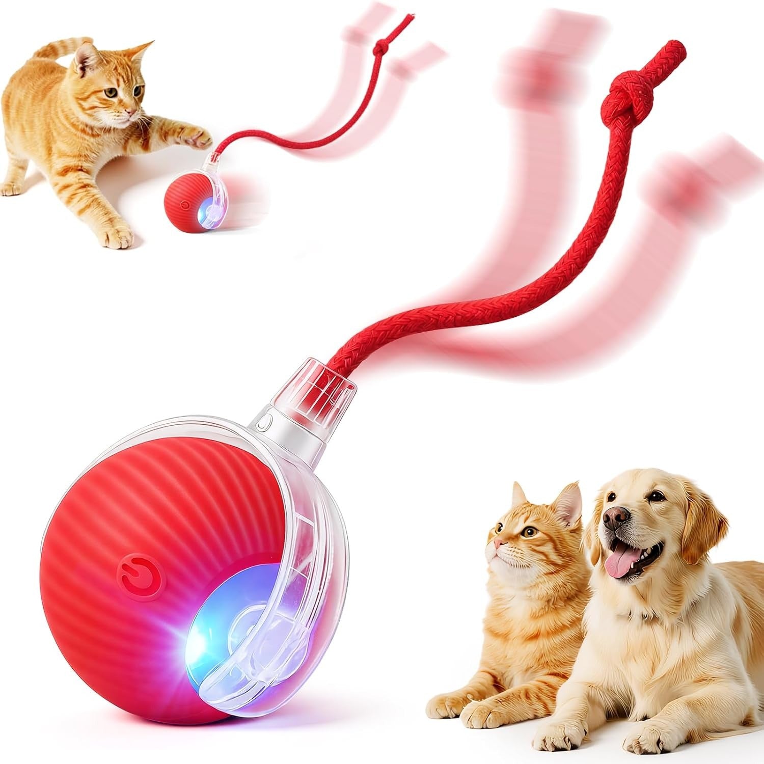 Interactive Rolling Ball Pet Toy