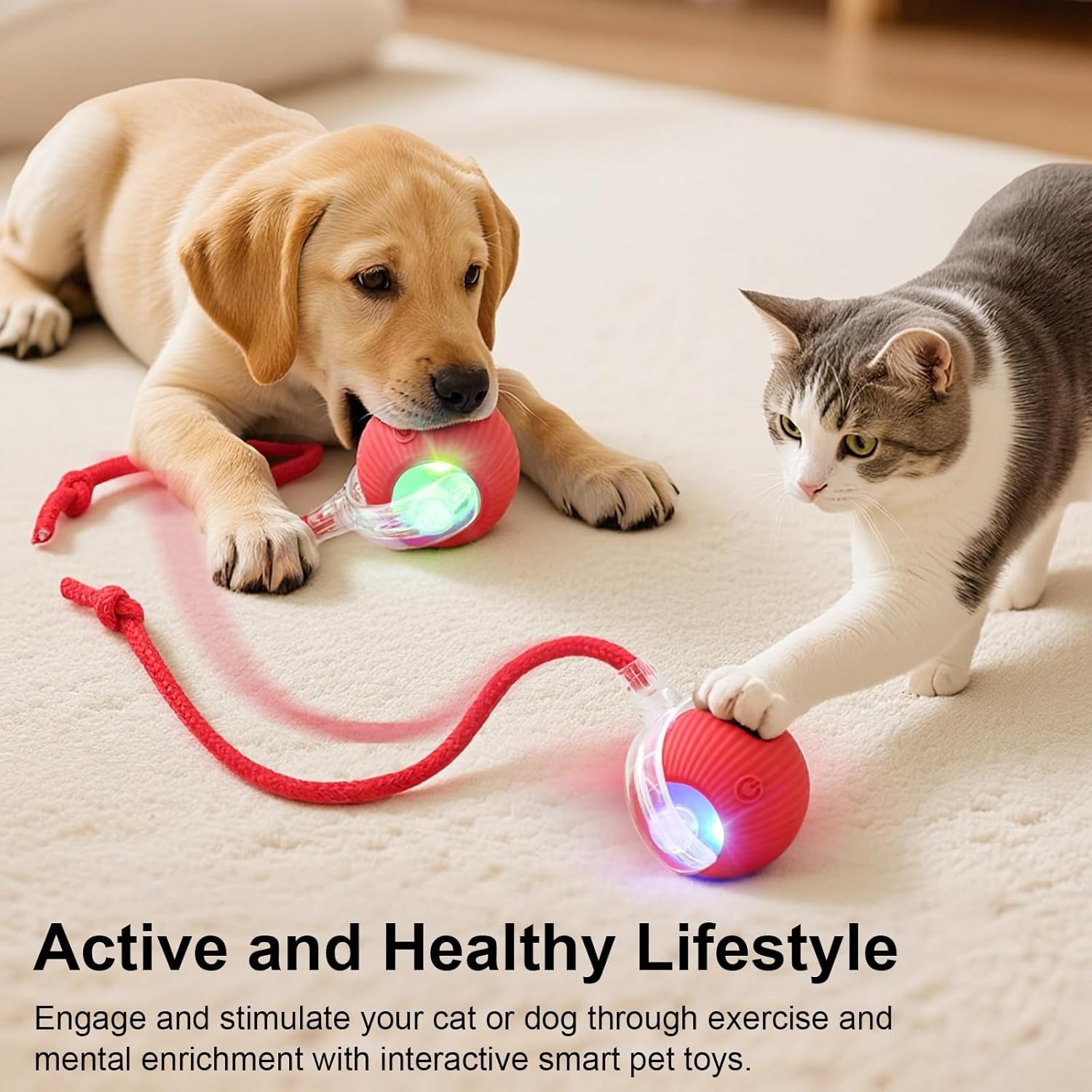 Interactive Rolling Ball Pet Toy