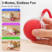 Interactive Rolling Ball Pet Toy
