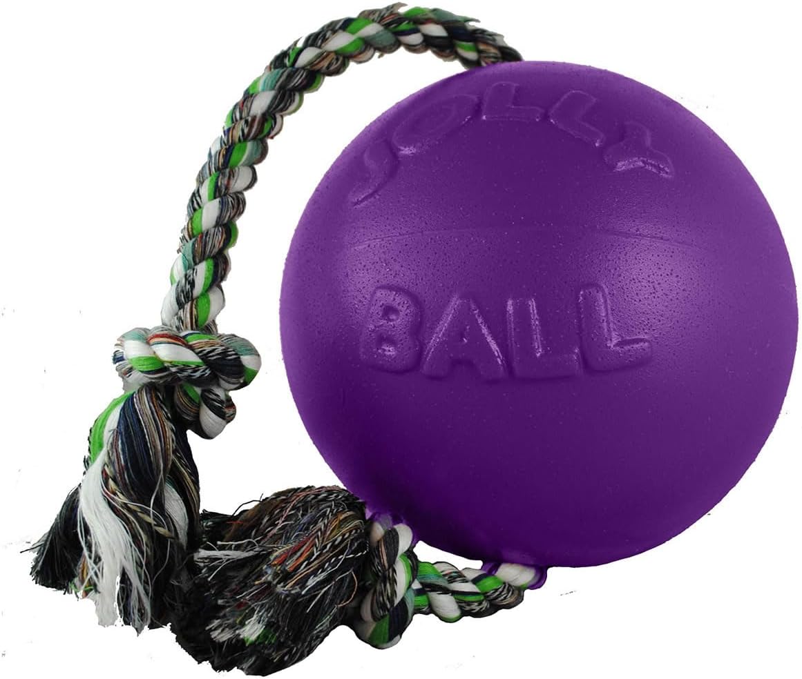 Interactive Rope Ball Dog Toy