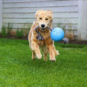 Interactive Rope Ball Dog Toy