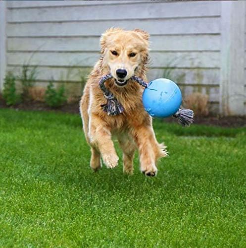 Interactive Rope Ball Dog Toy