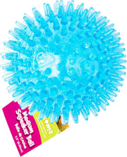 Interactive Squeaker Ball For Dogs