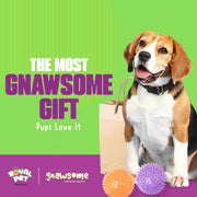 Interactive Squeaker Ball For Dogs