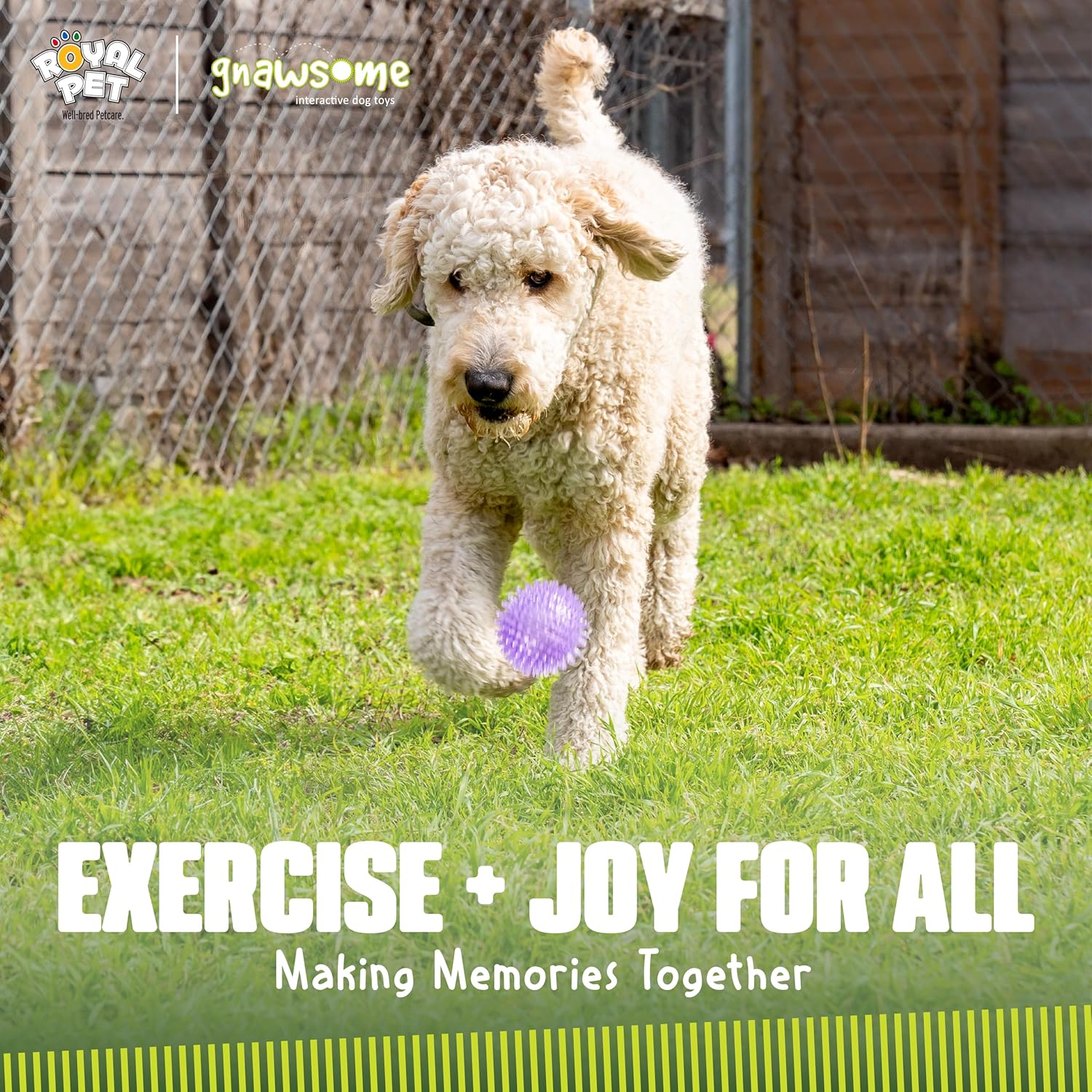 Interactive Squeaker Ball For Dogs